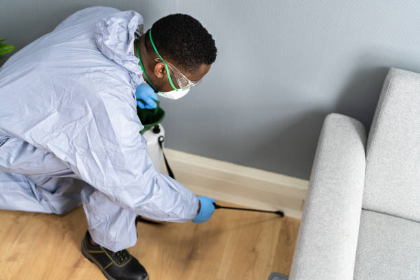 Best Real Estate Pest Inspections  in Parsons, KS